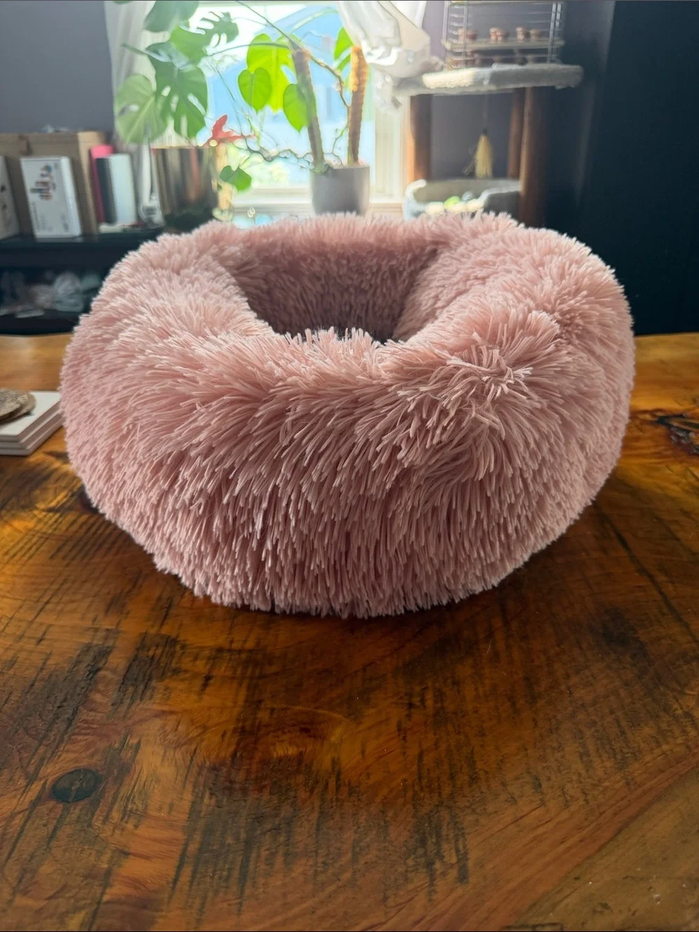 Plush Pink Cat Bed